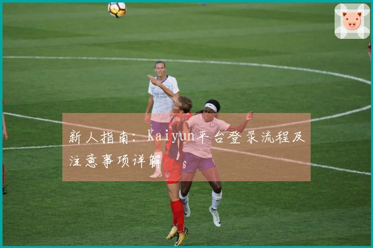 新人指南：Kaiyun平台登录流程及注意事项详解