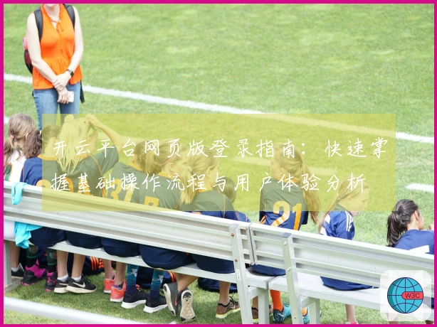 开云平台网页版登录指南：快速掌握基础操作流程与用户体验分析